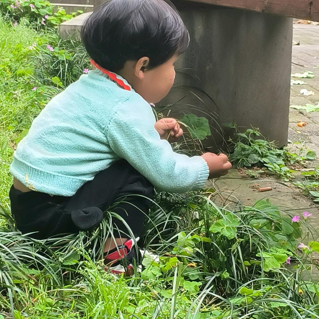 诗城Fj阿金