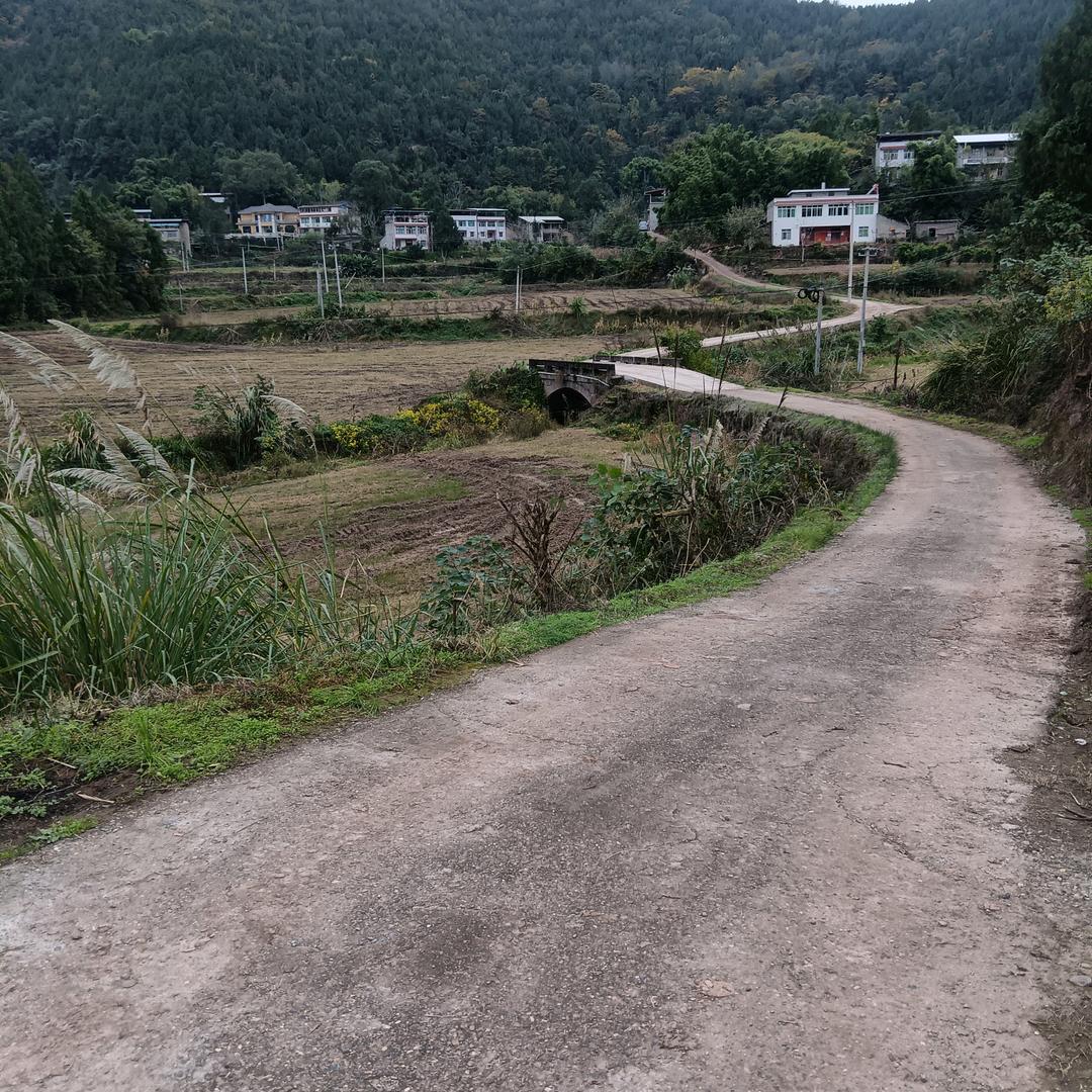 健康平安