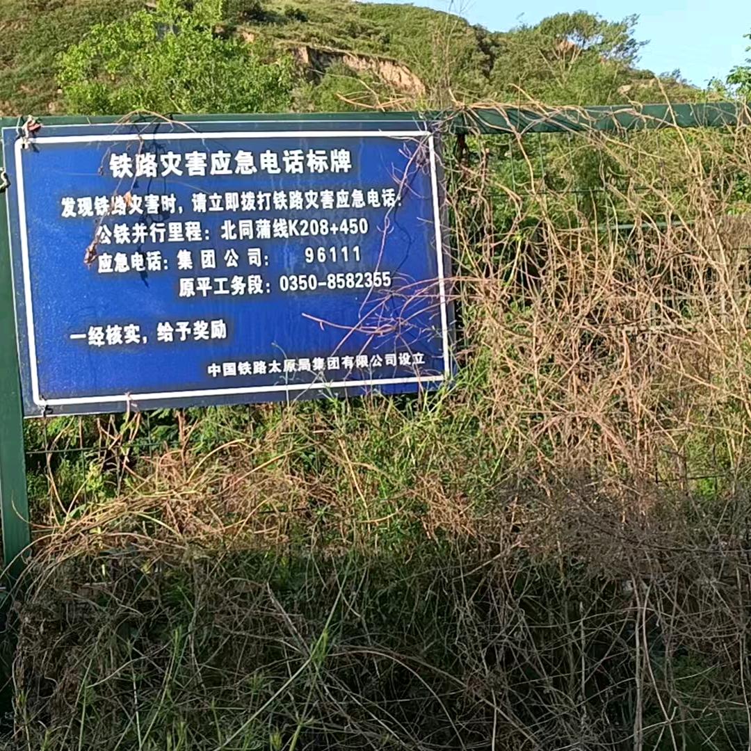 猛虎对