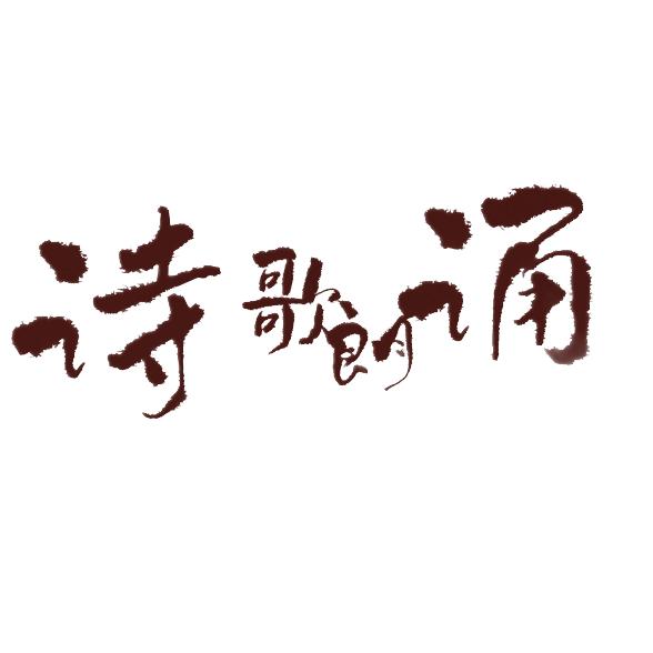 Vjdvd素材网