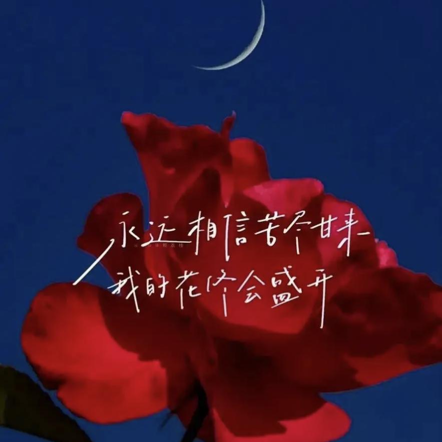Dudu