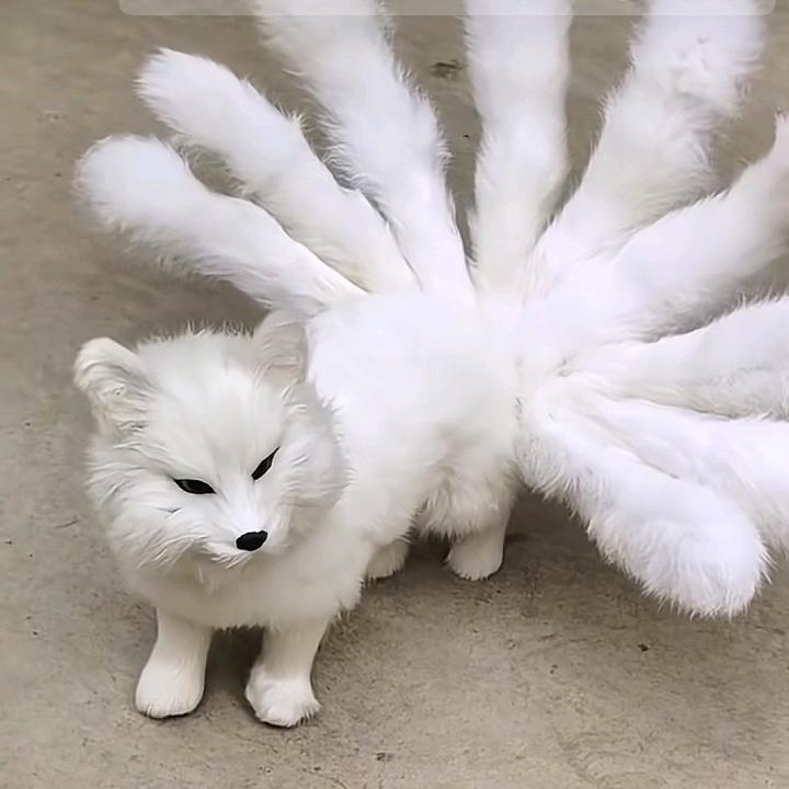 💞⃨᪲怡ꦿ᭄᪲宝୫໊