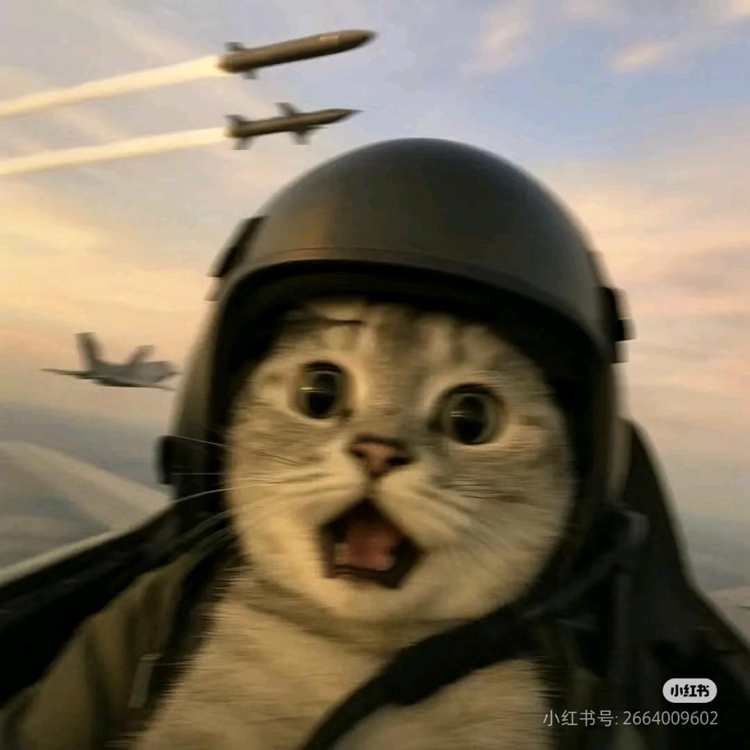 省钱侠Pro（外卖版）