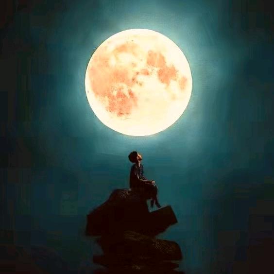 伍金。金的金💫