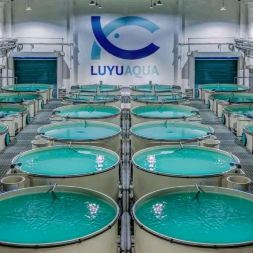 陆渔（珠海基地）