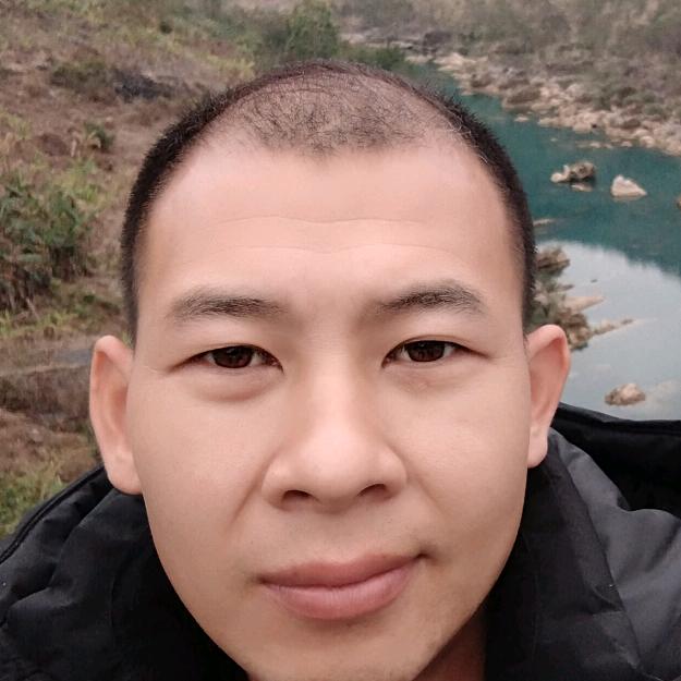 秃头终结者