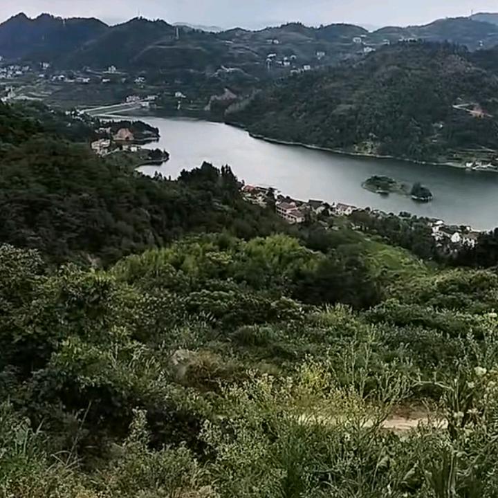 时来运转