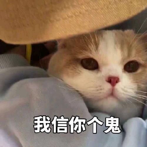 @@你值不得？