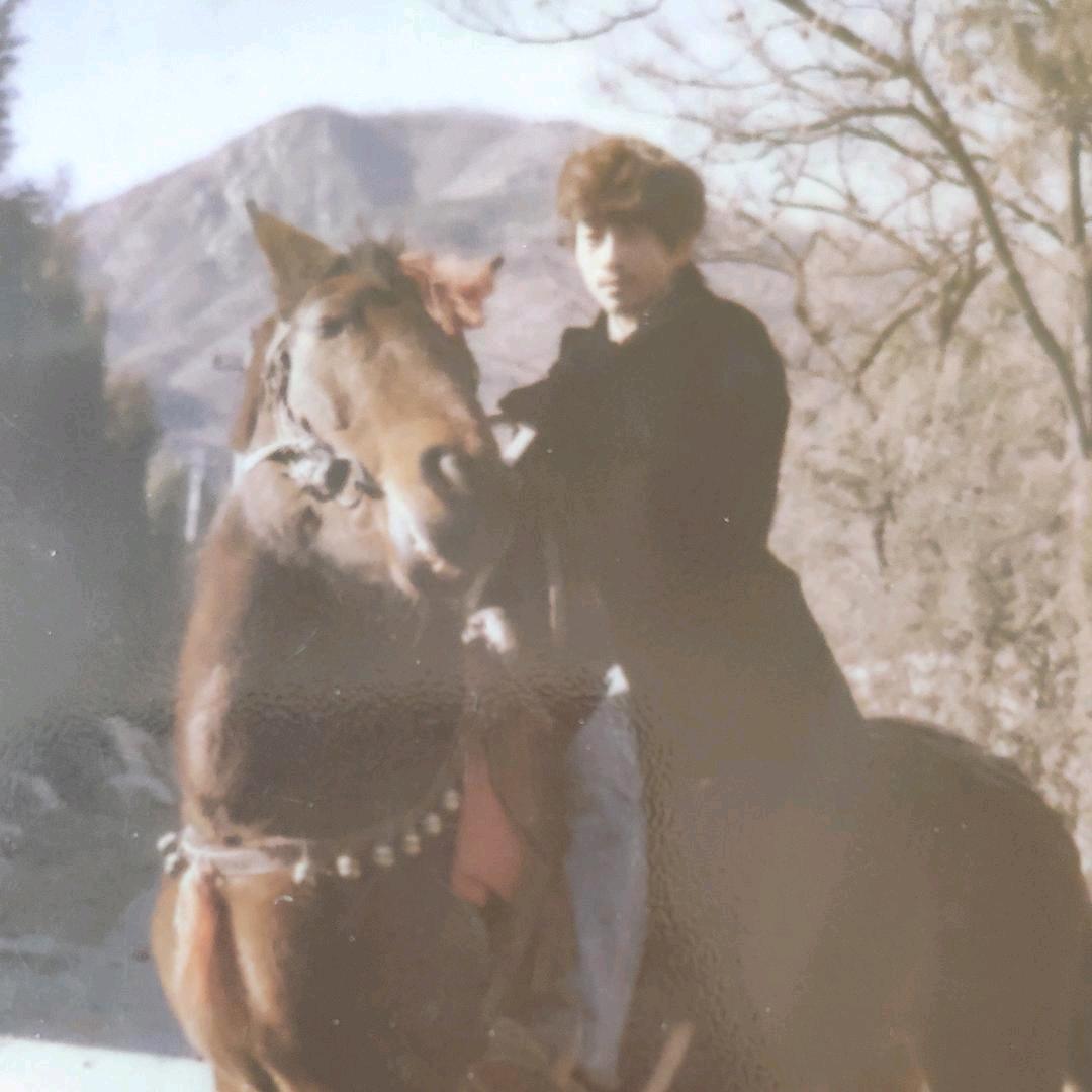 🌈🐉佬🐉爷³¹²