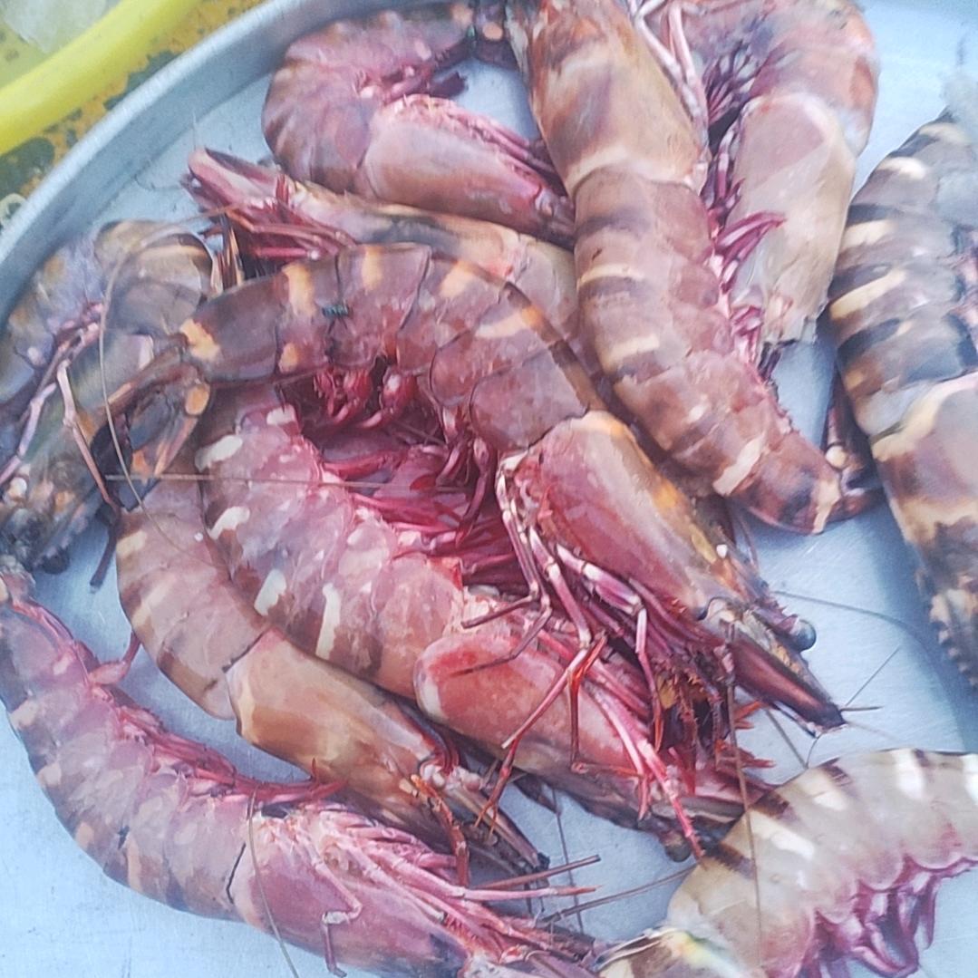 飞飞‘（不要连赞、连赞拉黑）