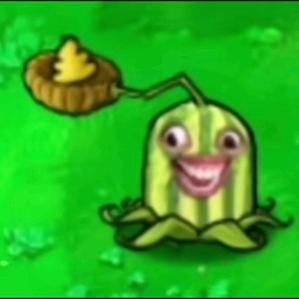 油熊