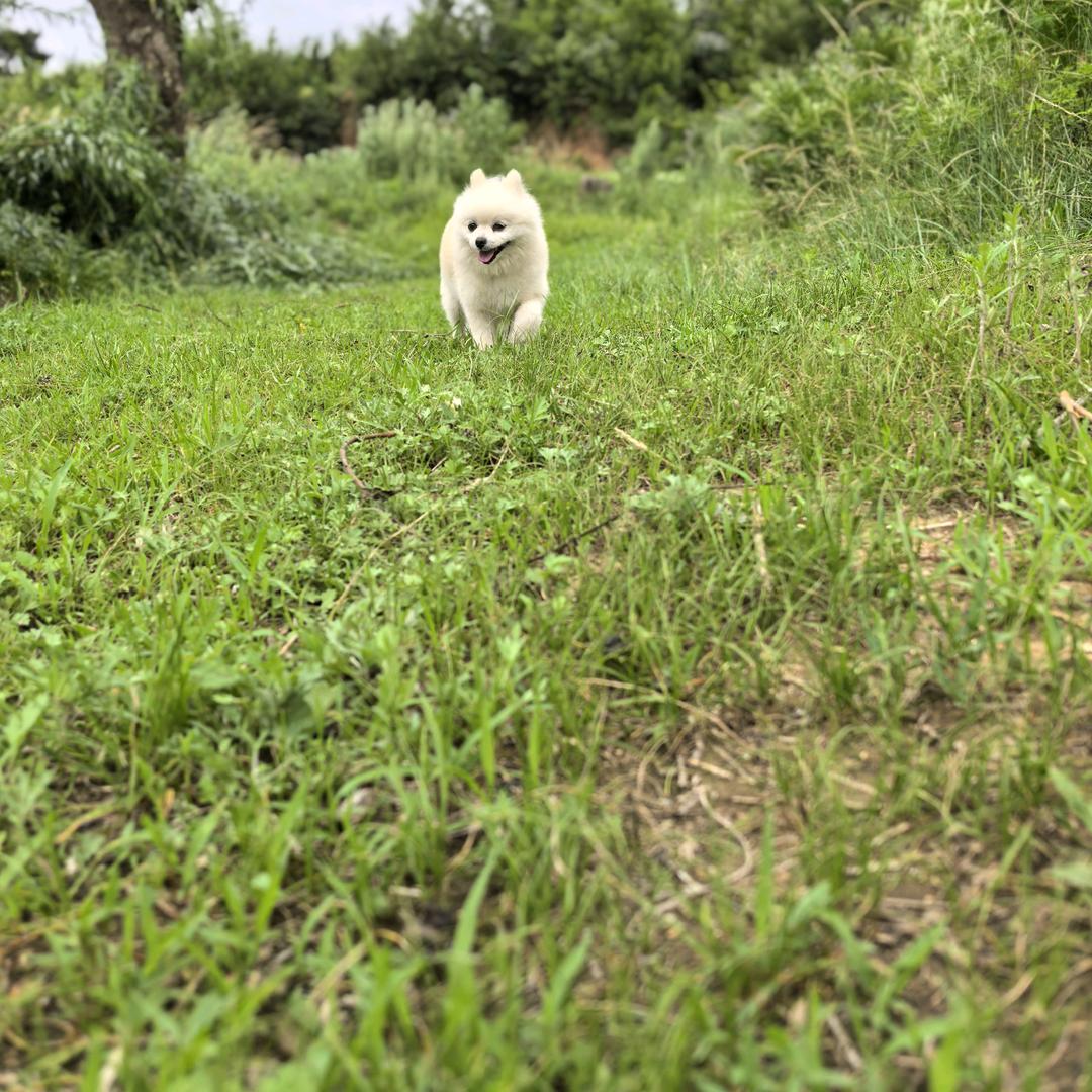 曾经沧海