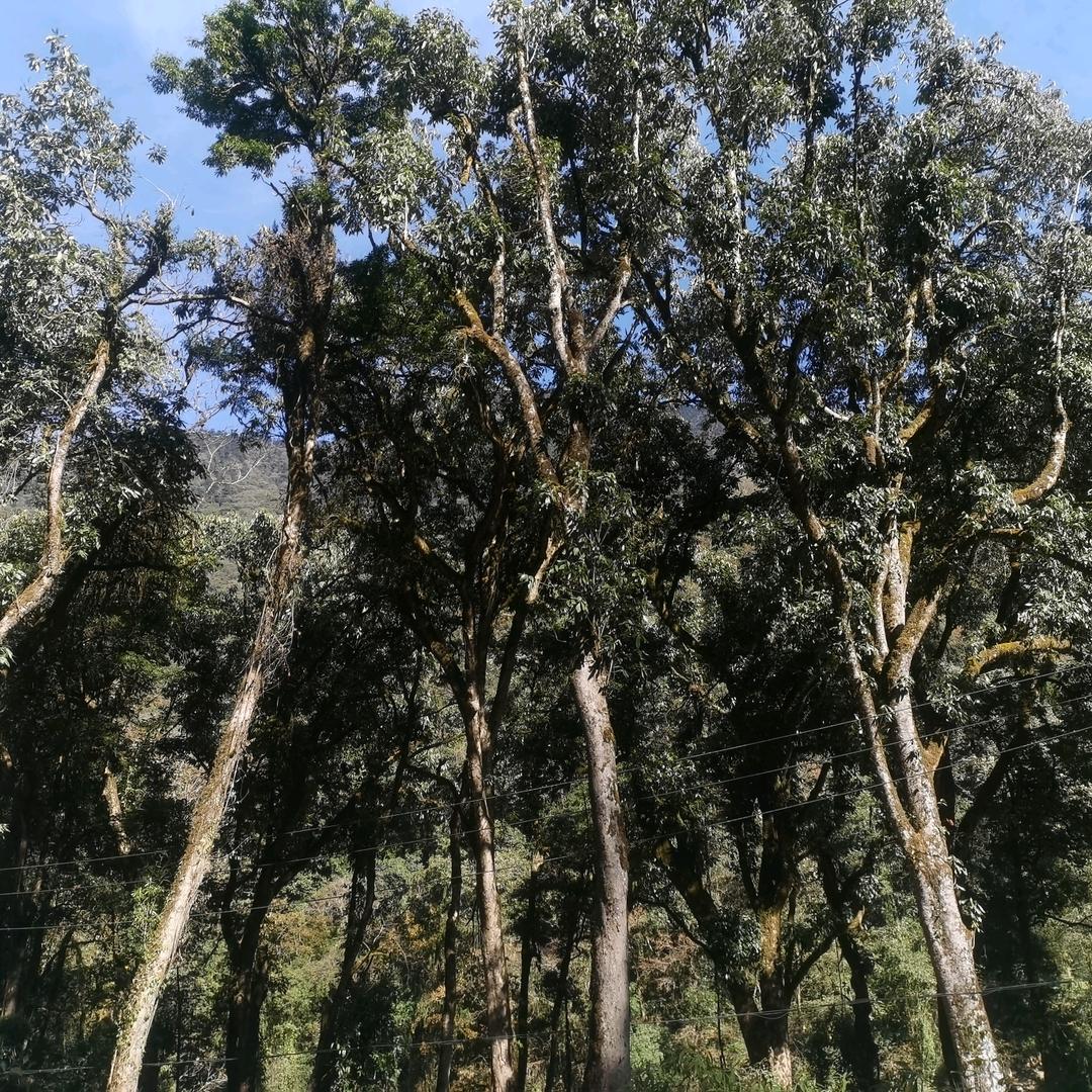 896336107