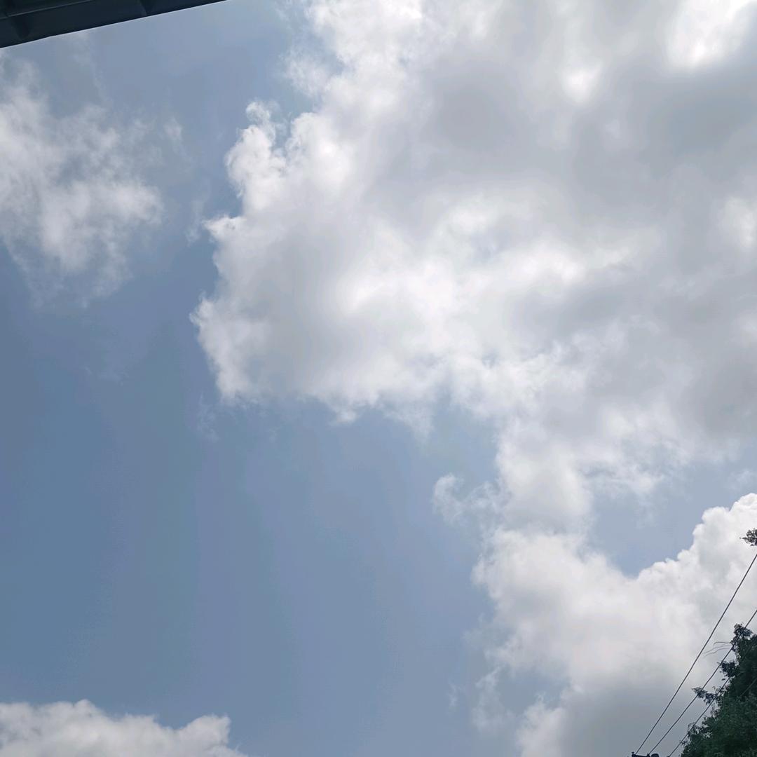 🎋劉有余地🦋