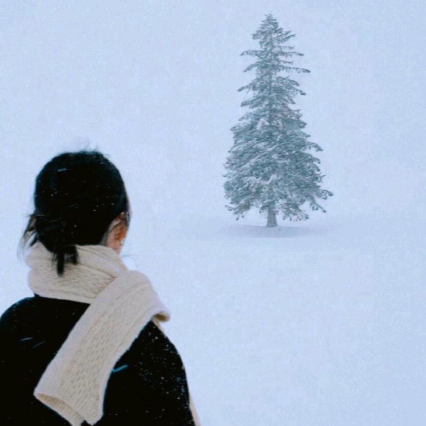 是小糖呀