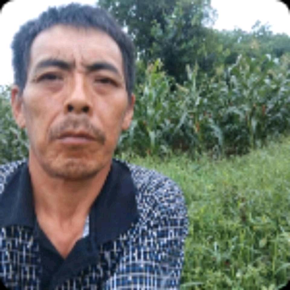 古老好