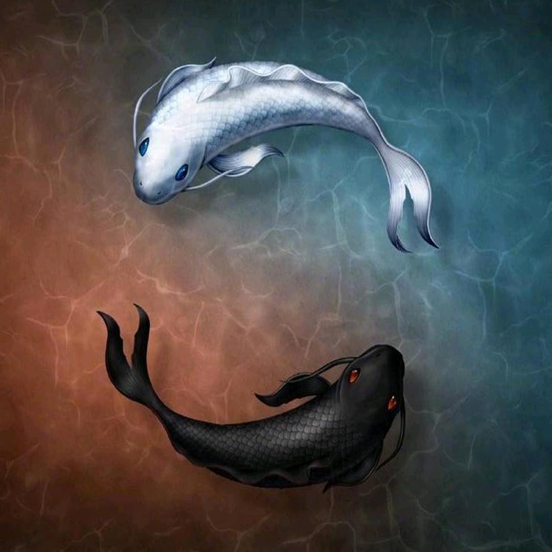 三十岁的电商人