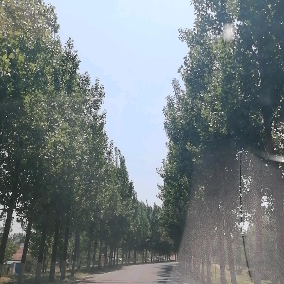 花有重开日，人无再少年