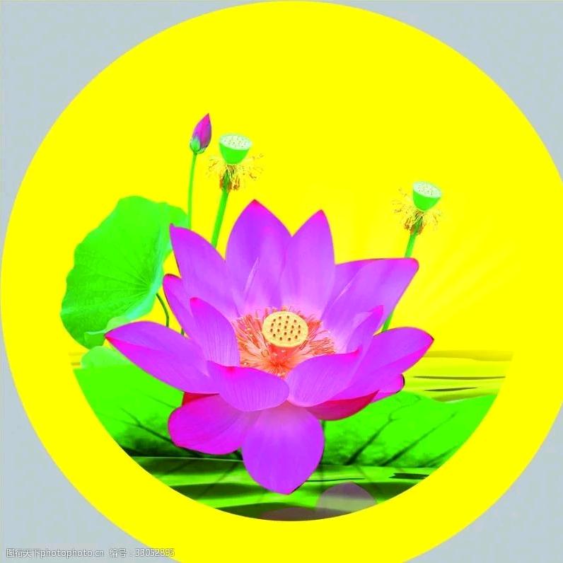 彩云悠悠