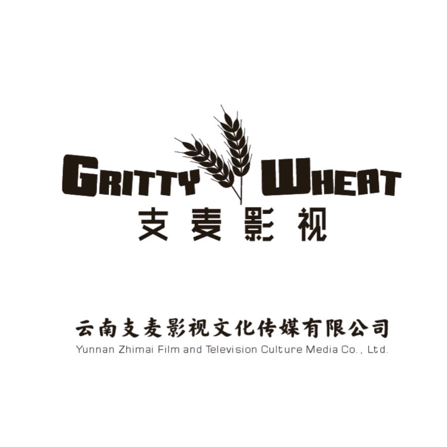 支麦影视