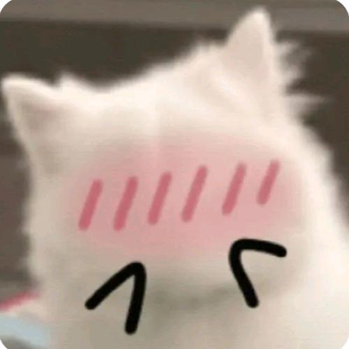 杨凤.凤姐小星河