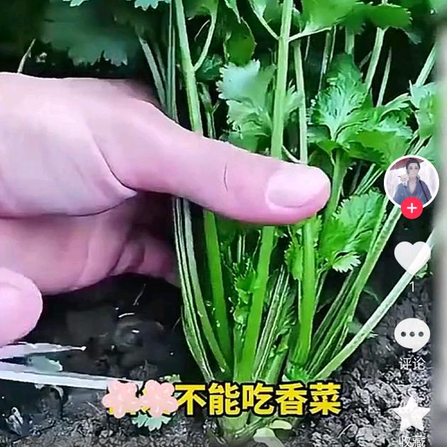 简简单单