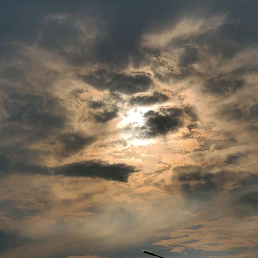 夕晨