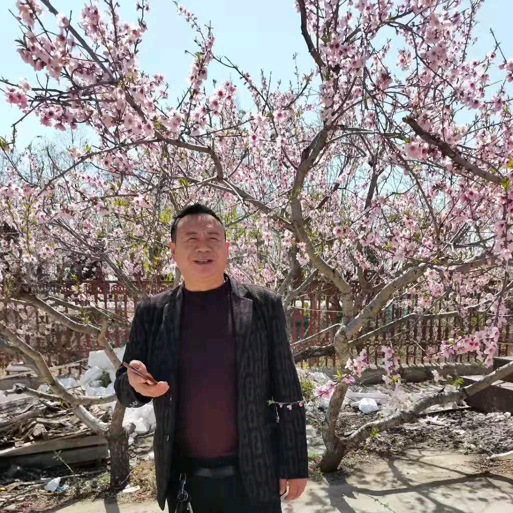 陈显军早上7：30分直播