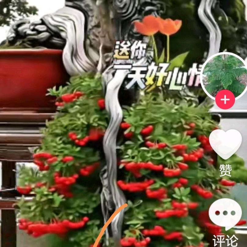 薪满亿足
