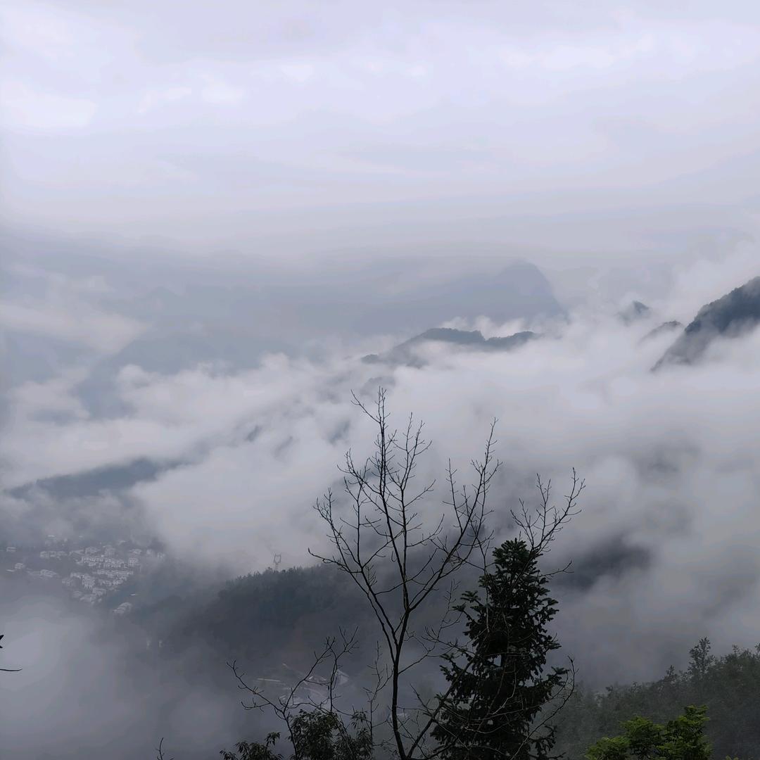 万源周边废铁回收，厂矿设备拆除！报废车辆