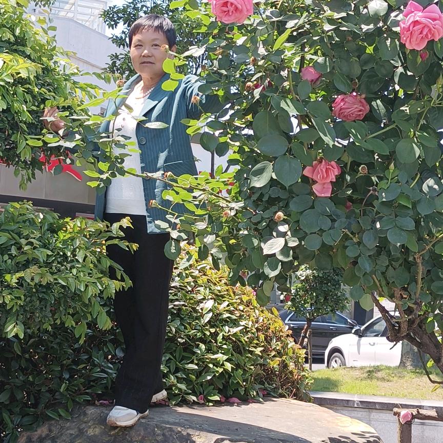 郭小莲