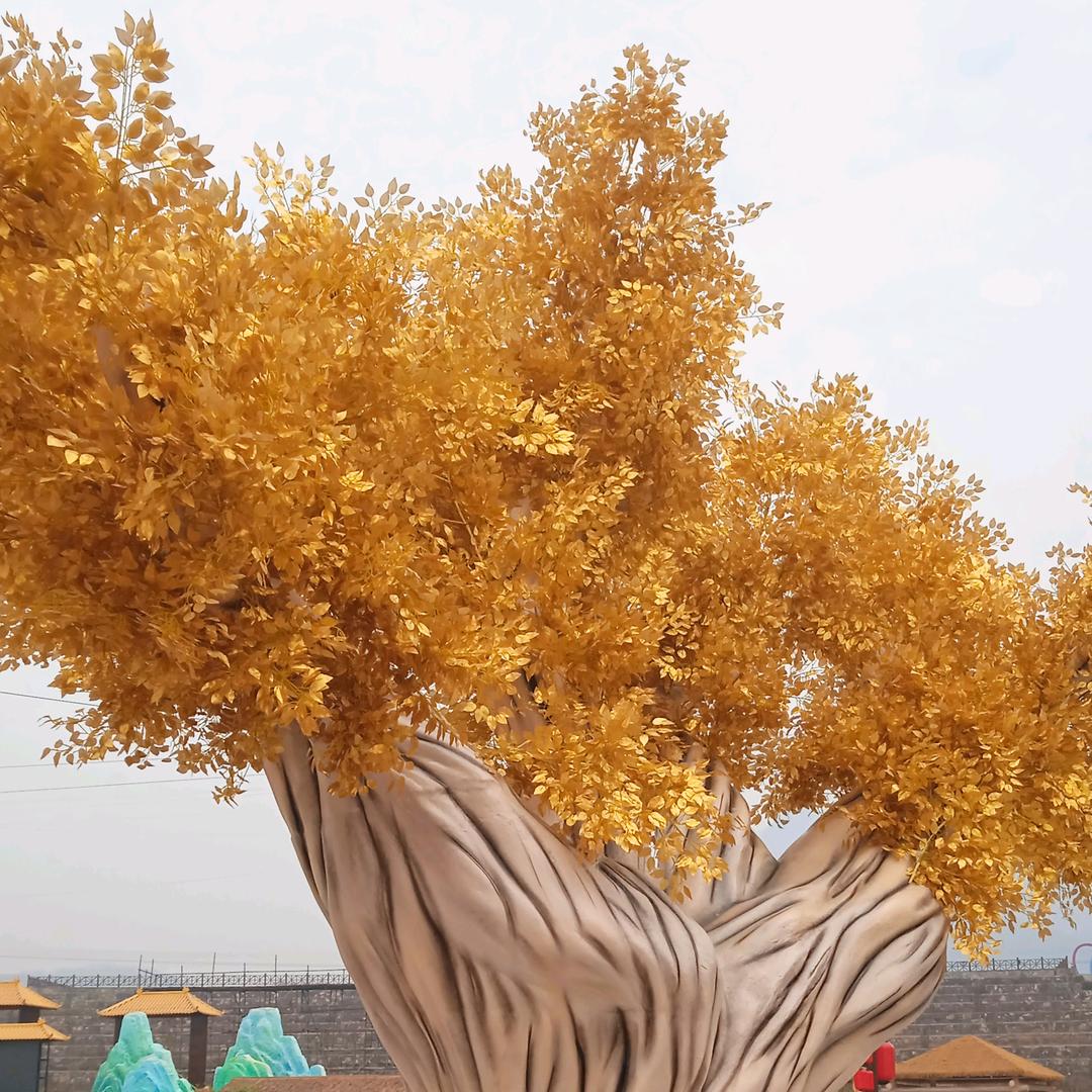 💕💕💕💕💕轻舟💕💕💕