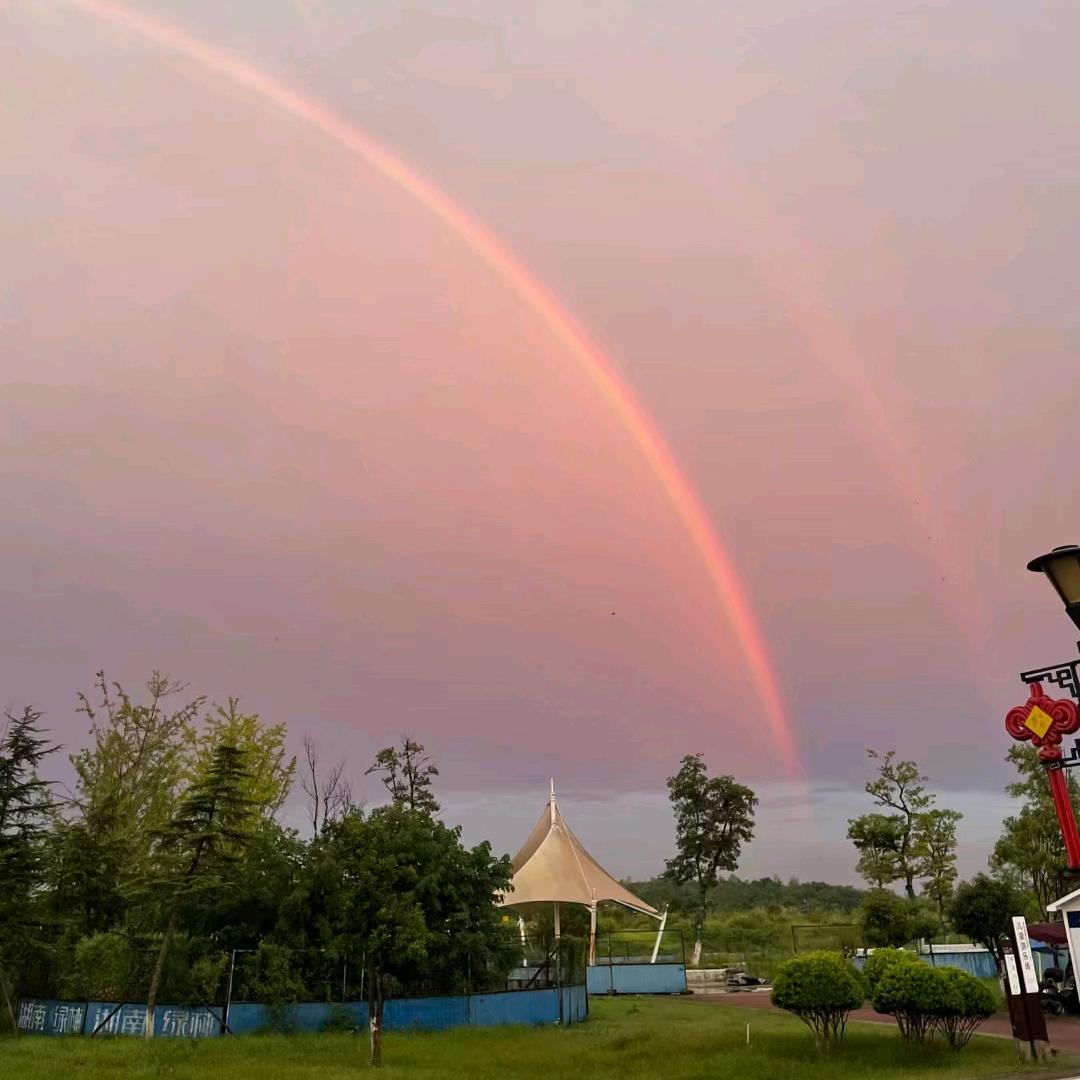 小太阳追光记