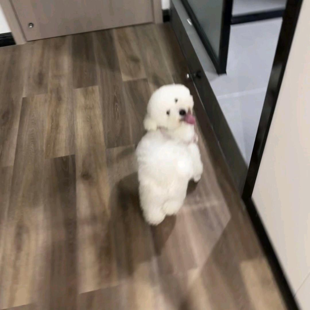 ╭(╯★田园风光☆╰)╮