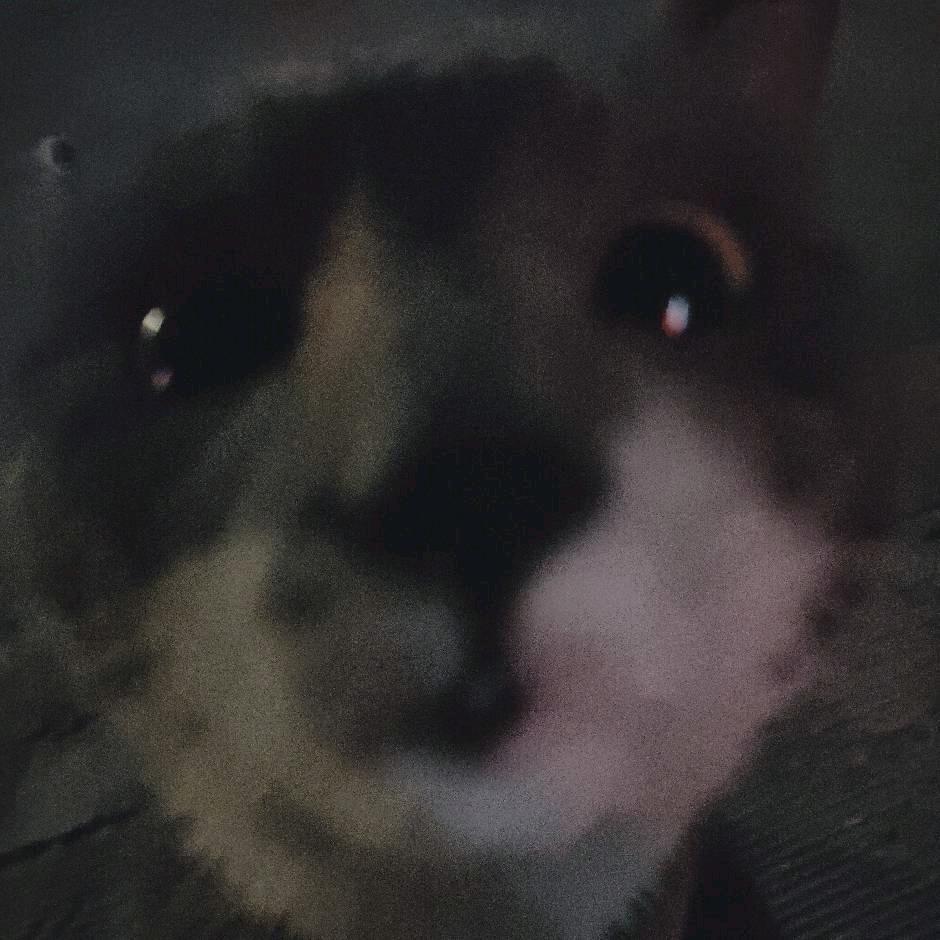 哈哈哈哈哈