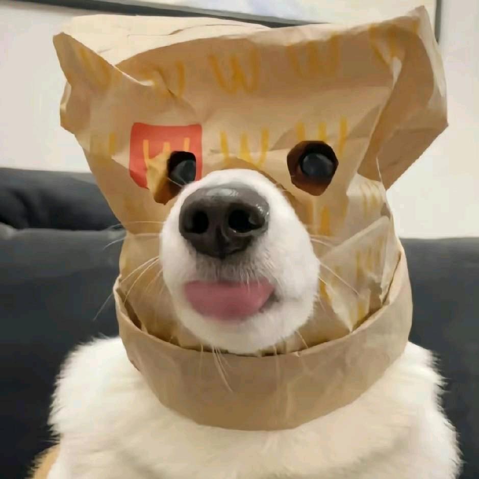 别惹我嘞👻