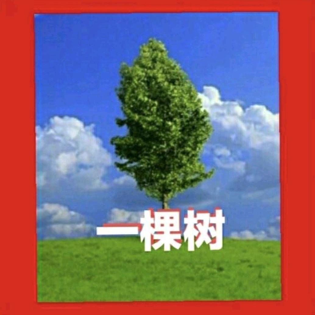 一棵树，我是初中物理退休教师