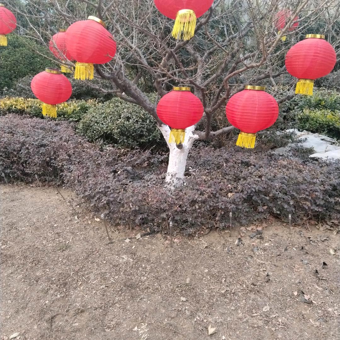 梦纳海川