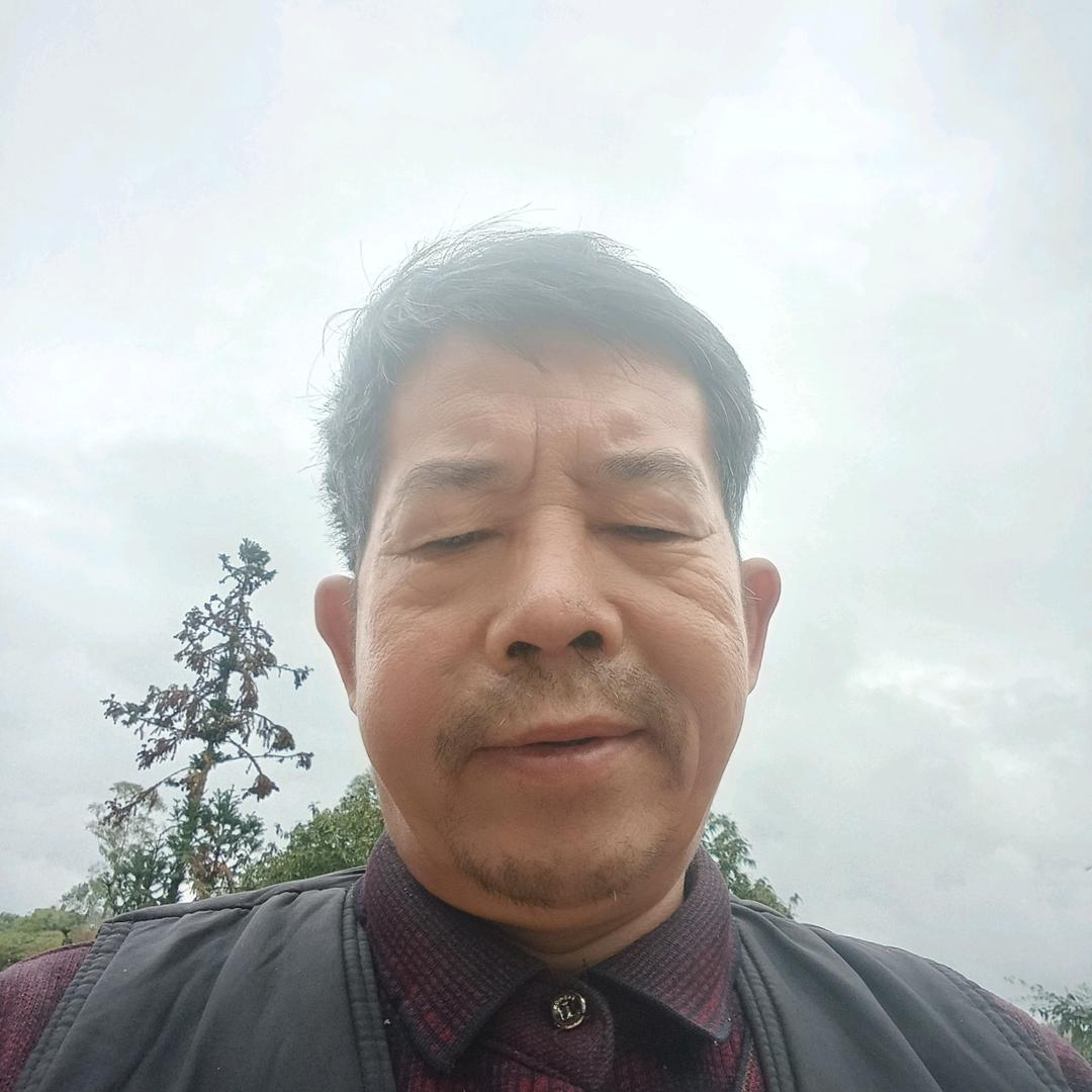 树林哥（早上9.10分）