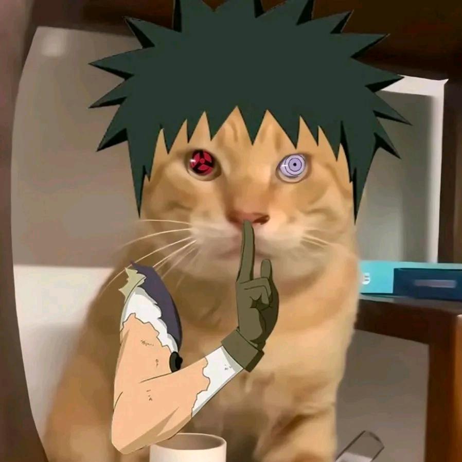宇神神