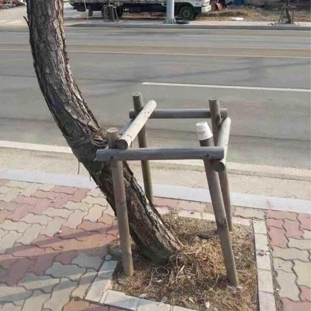 二百万？一千一百万？