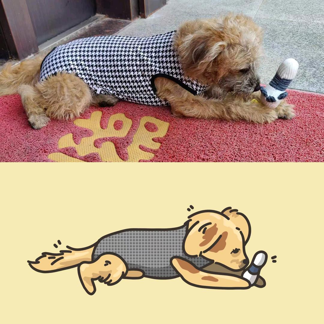 -X敏Z