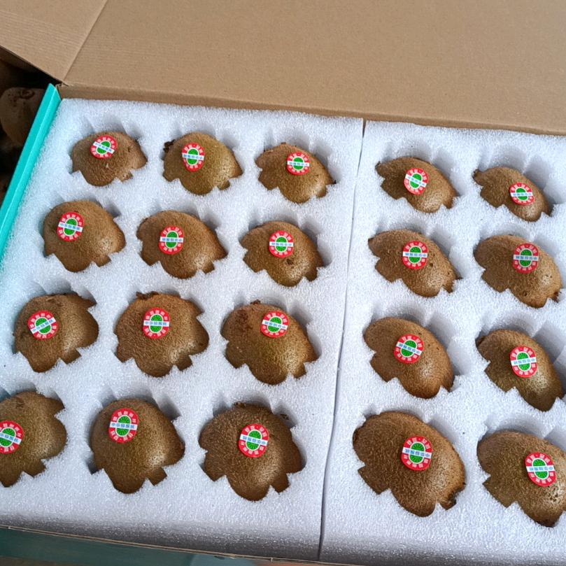 猕猴桃汉子助力号