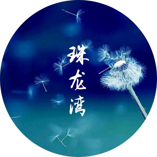 「古怀地」怀地黄制品