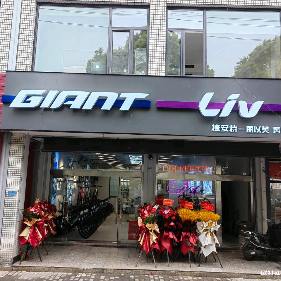 G I A N T 奔牛店 小李