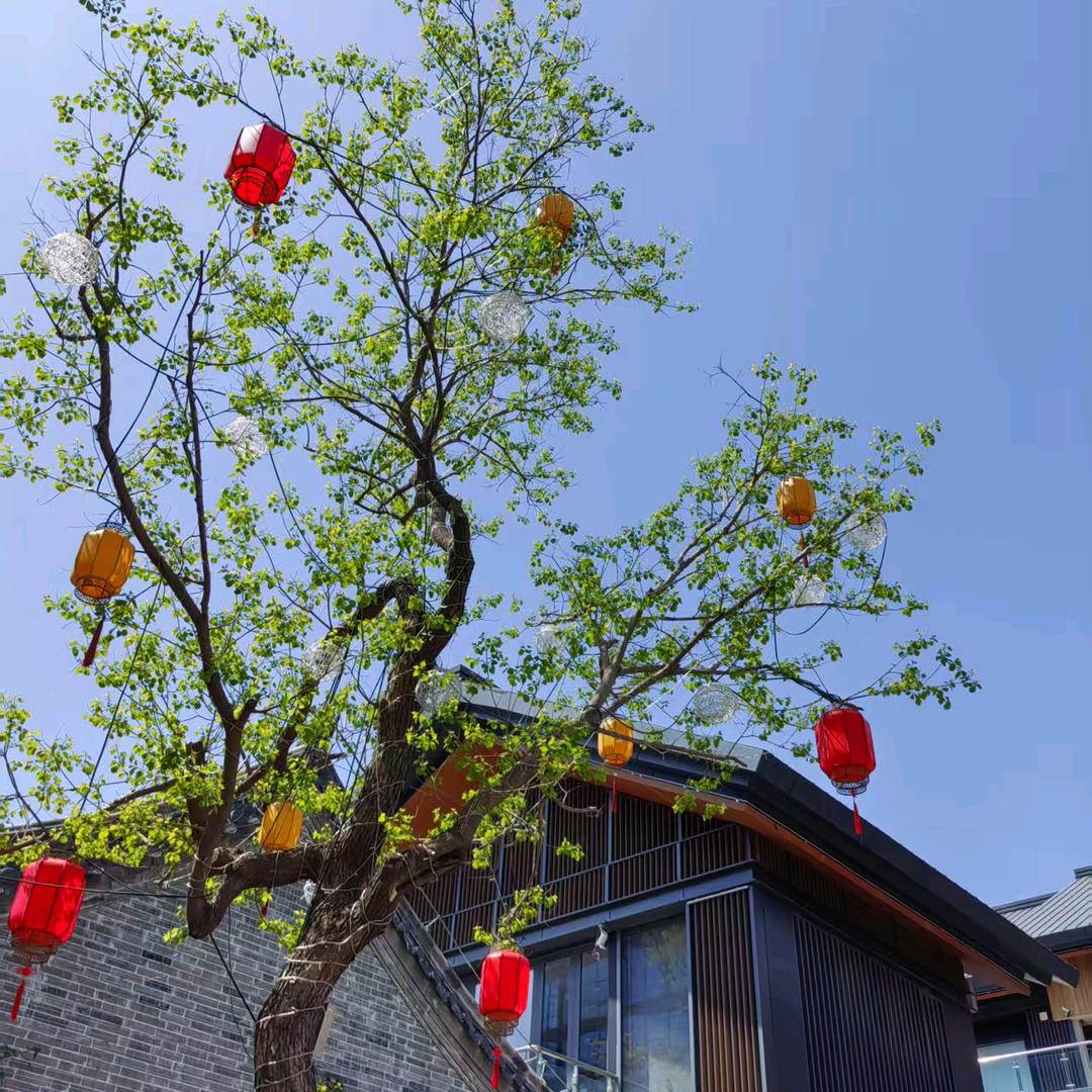 开心快乐每一天