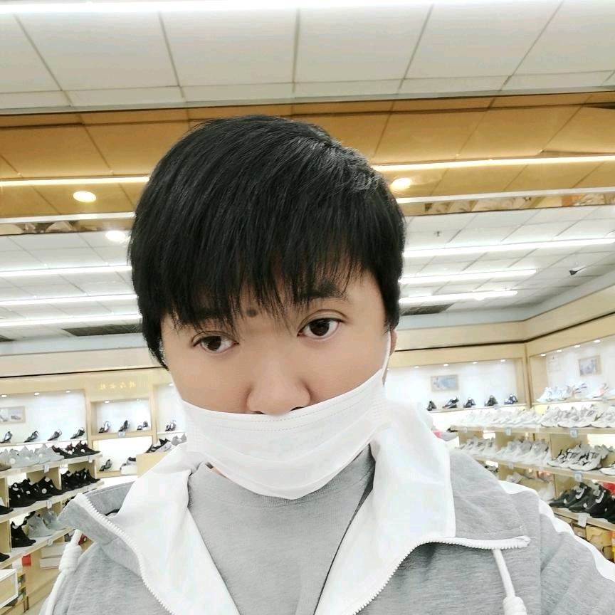 鹏飞