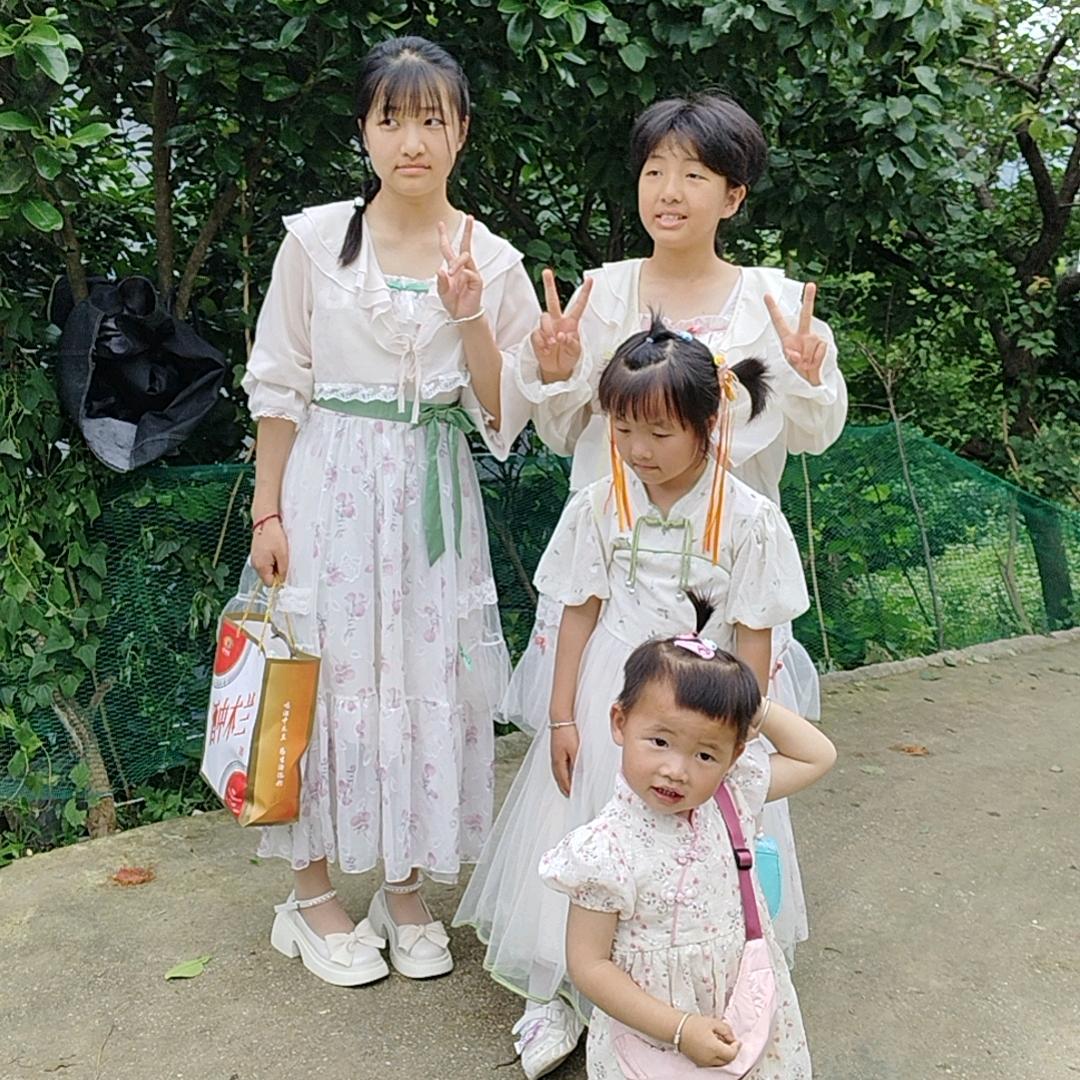 🌻杨家四金🌻