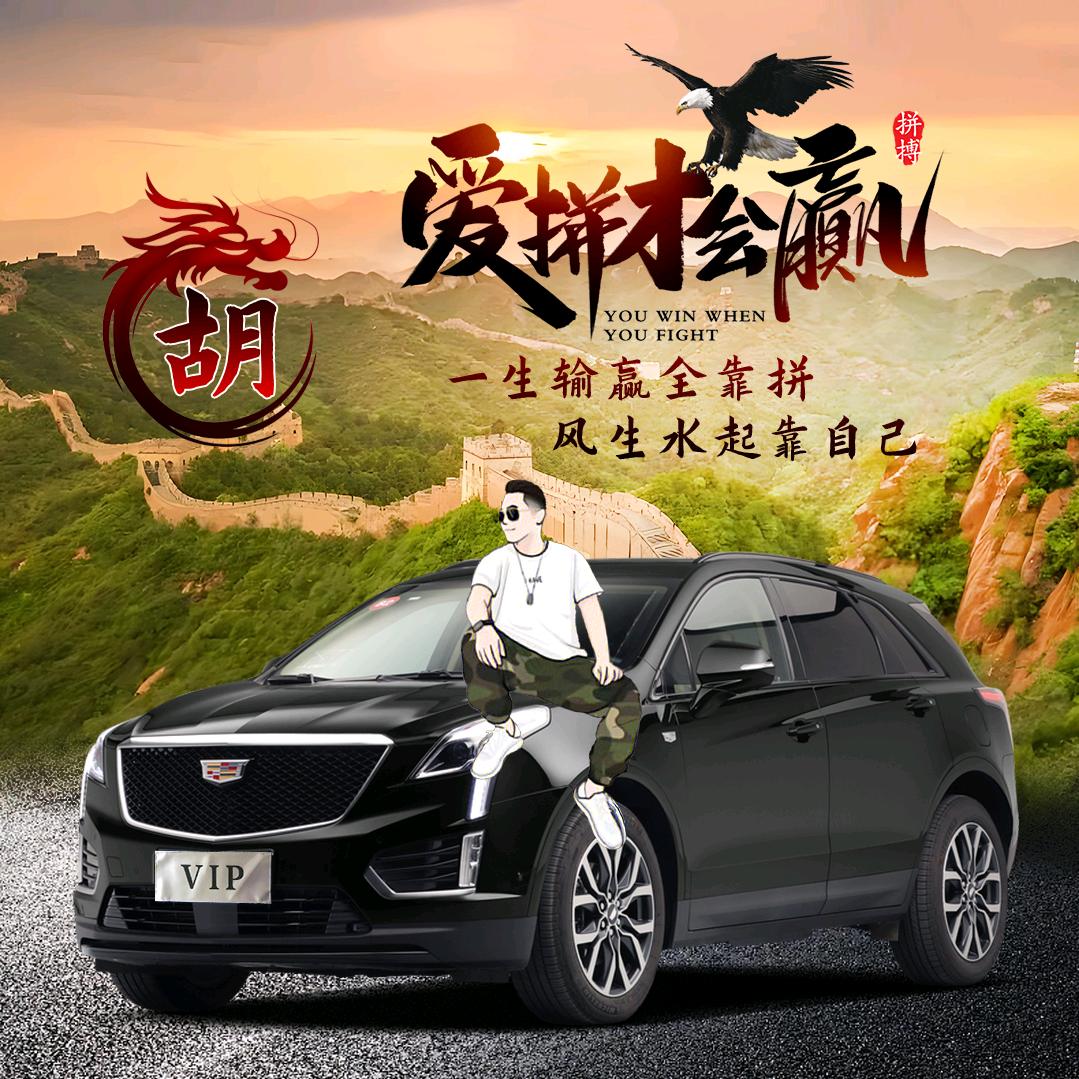 我是你的港湾
