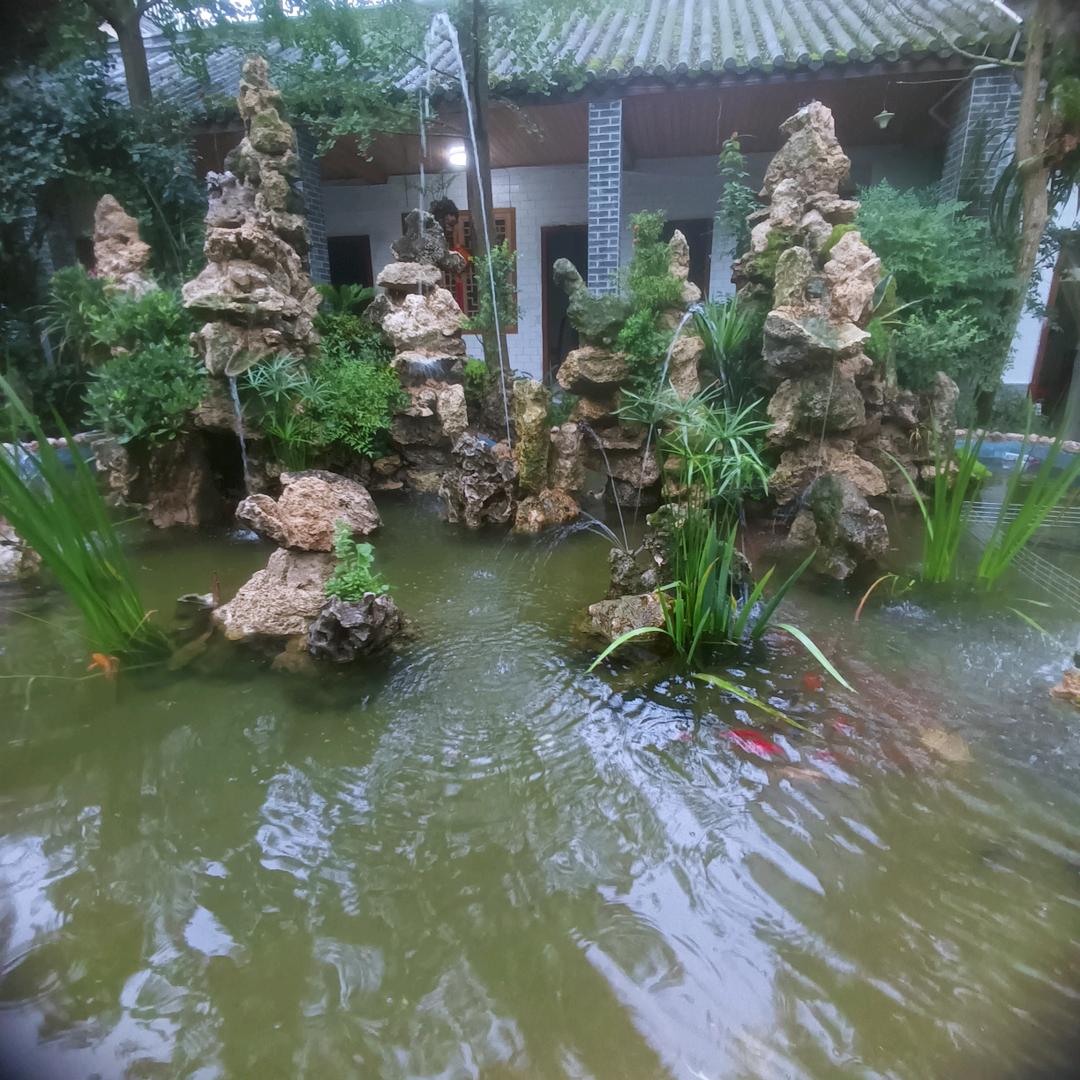 忘情港